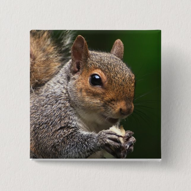 Grey Squirrel 15 Cm Square Badge (Front)