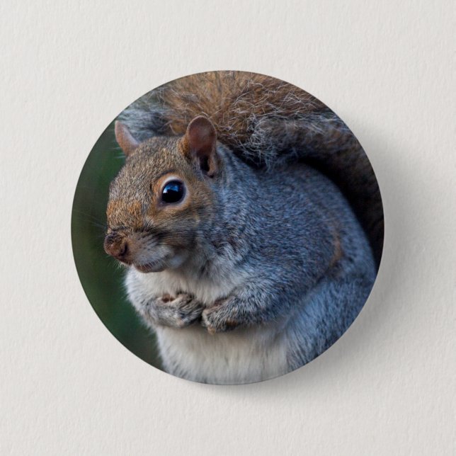 Grey Squirrel Badge (Front)