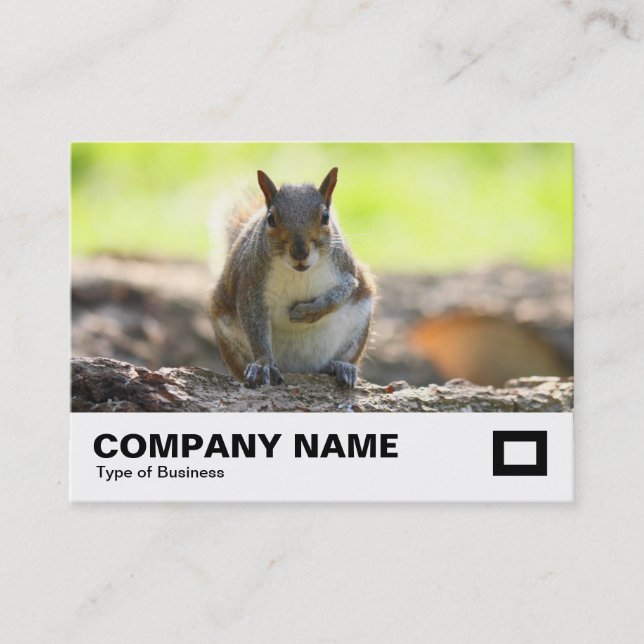 Grey Squirrel Business Card (Front)