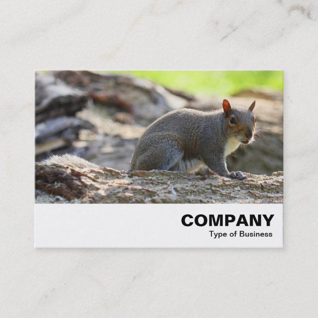 Grey Squirrel Business Card (Front)