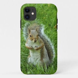 Grey Squirrel, Bute Park, Cardiff Case-Mate iPhone Case