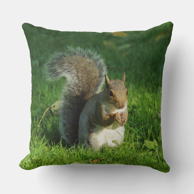 Grey Squirrel, Bute Park, Cardiff Cushion (Front)