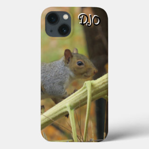 Grey Squirrel Case-Mate iPhone Case
