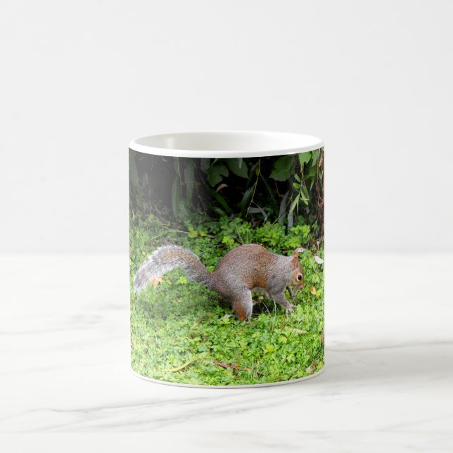 Grey squirrel coffee mug (Center)