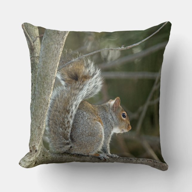 Grey Squirrel Cushion (Front)