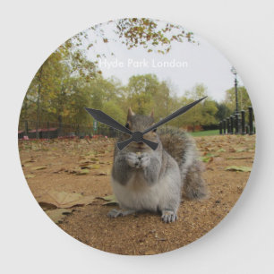 Grey Squirrel Hyde Park London. Large Clock