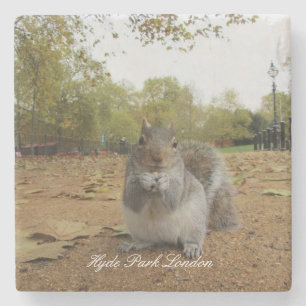 Grey Squirrel Hyde Park London. Stone Coaster