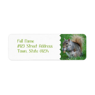 Grey Squirrel Mailing Labels