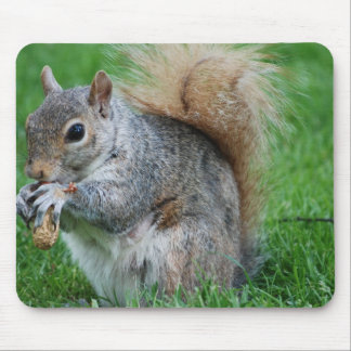 Grey Squirrel Mouse Pad