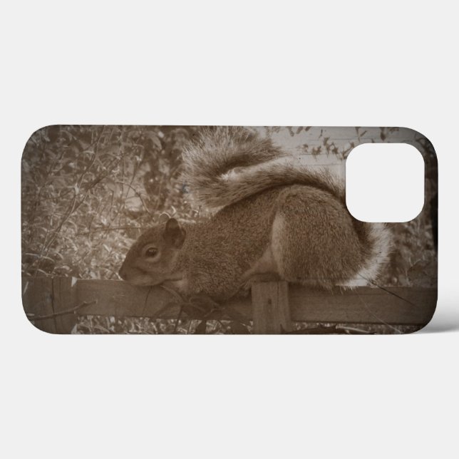 grey squirrel resting sepia garden wildlife photo Case-Mate iPhone case (Back (Horizontal))