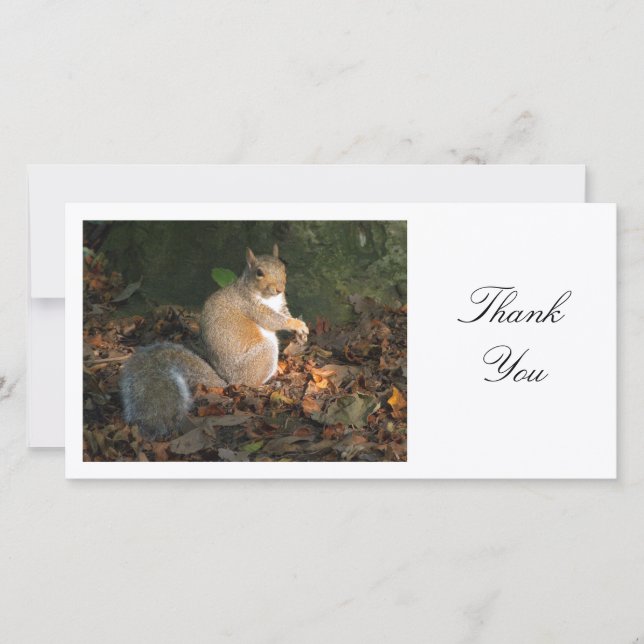 Grey Squirrel - Thank You (Front)