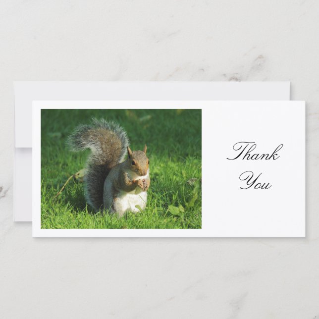 Grey Squirrel - Thank You (Front)