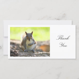Grey Squirrel - Thank You Card