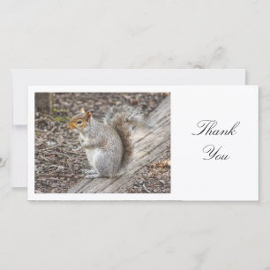 Grey Squirrel - Thank You Card