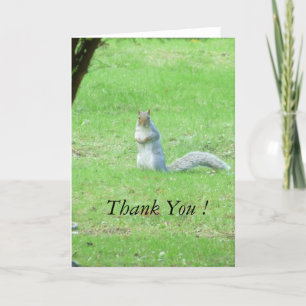 Grey Squirrel Thank You Card