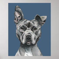 Grey Stalky Pit Bull Dog Drawing