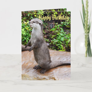 Grey Standing Otter Happy Birthday Card