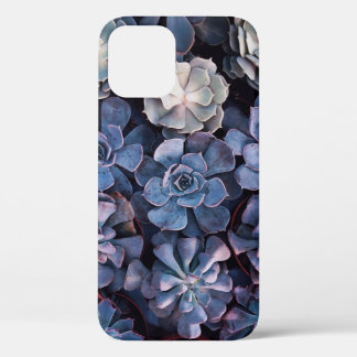 Grey succulents iPhone 12 case