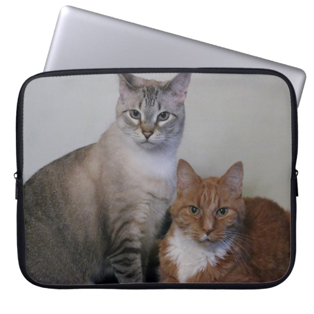 Grey Tabby and Orange Tabby Cats Laptop Sleeve (Front)