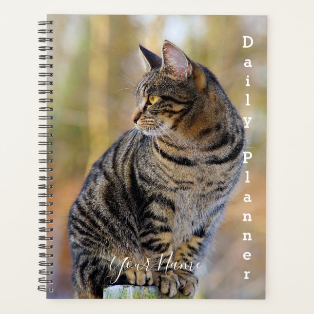 Grey Tabby Cat - Daily Planner- HAMbWG Planner (Front)