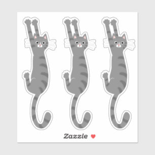 Grey Tabby Cat Hanging On   Funny Grey Striped Cat