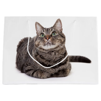 Grey Tabby Cat Large Gift Bag