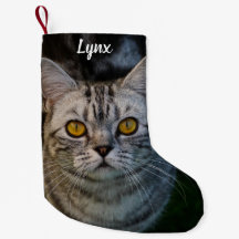 Grey Tabby Cat Metal 