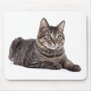Grey Tabby Cat Mouse Pad