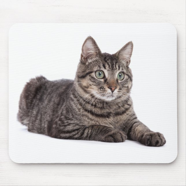 Grey Tabby Cat Mouse Pad (Front)