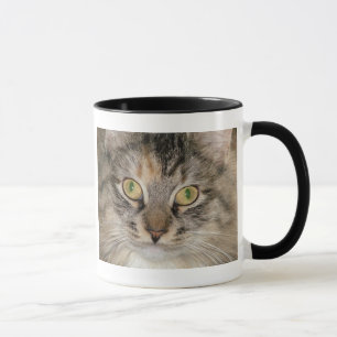 Grey Tabby Cat Mug
