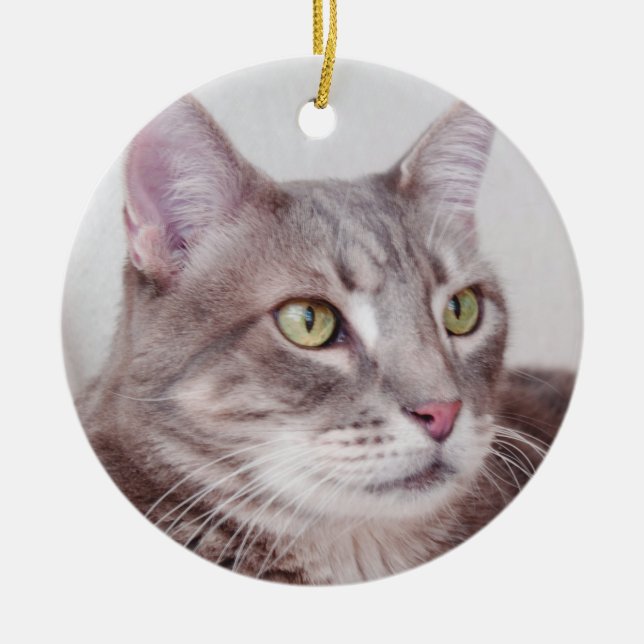 Grey tabby cat ornament (Front)