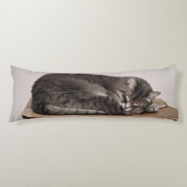 Grey Tabby Cat Sleeping On Box Body Cushion (Front)