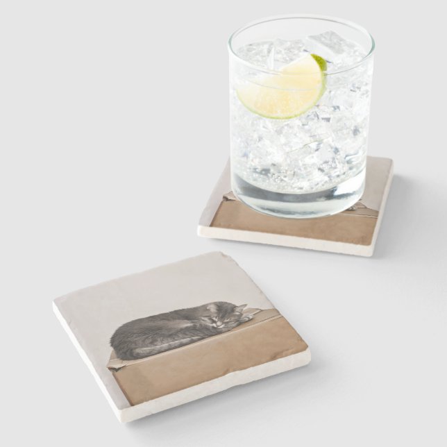 Grey Tabby Cat Sleeping On Box Stone Coaster (Side)