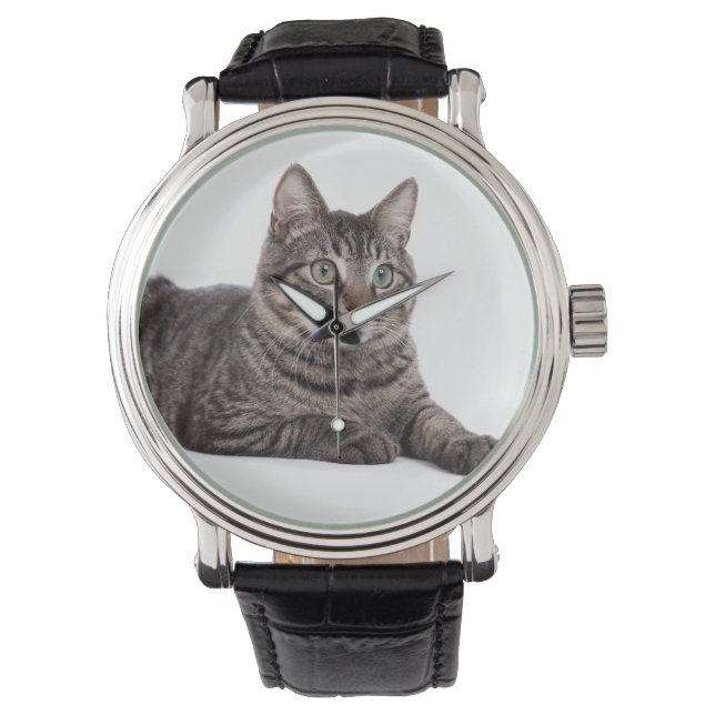 Grey Tabby Cat Watch (Front)
