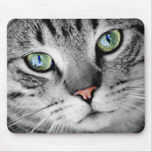 Grey Tabby Green Eyed Close Up Mouse Pad