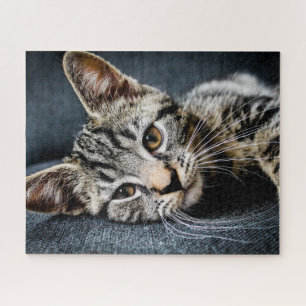 Grey Tabby Kitten Jigsaw Puzzle