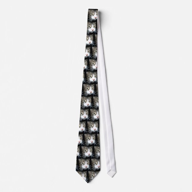 Grey Tabby Tie (Front)
