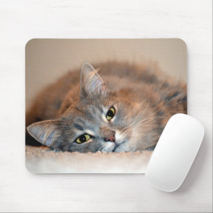 Grey, Tan, White Long-Haired Cat by Shirley Taylor Mouse Pad