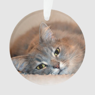 Grey, Tan, White Long-Haired Cat by Shirley Taylor Ornament