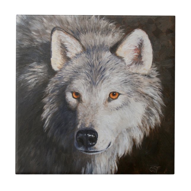 Grey Timber Wolf Face Portrait Tile (Front)