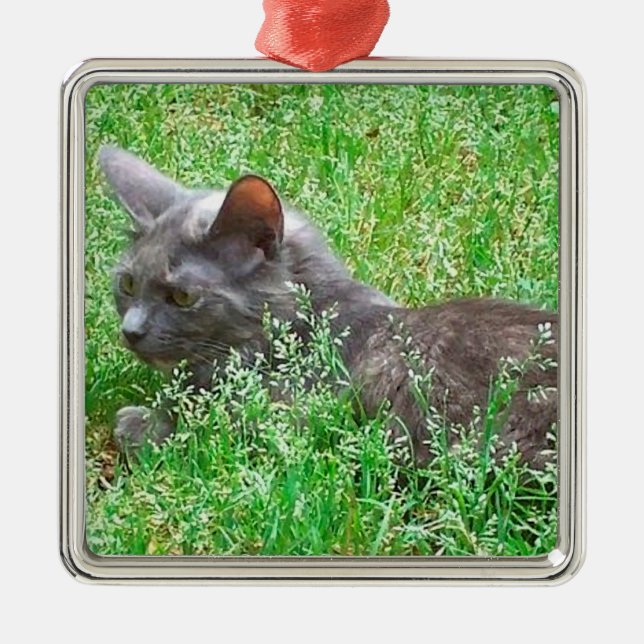 Grey Tortie Cat Metal Tree Decoration (Front)