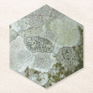 Grey tree bark pattern paper coaster
