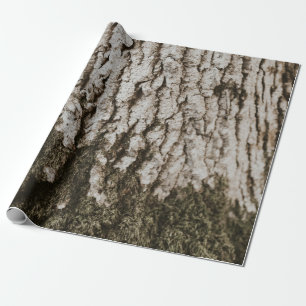 Grey tree trunk wrapping paper