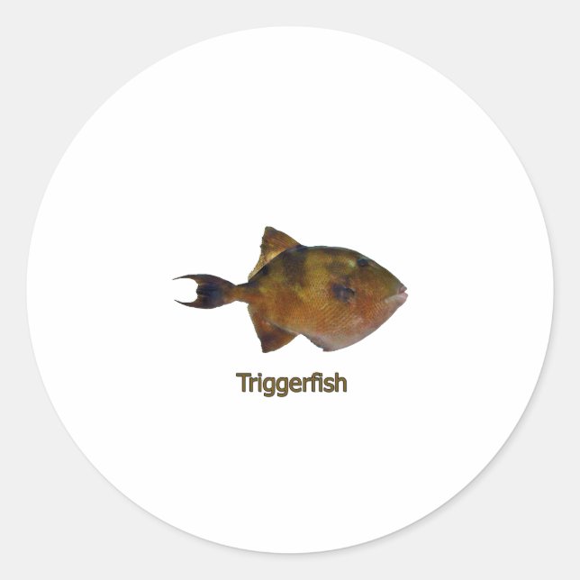 Grey Triggerfish Logo Classic Round Sticker (Front)