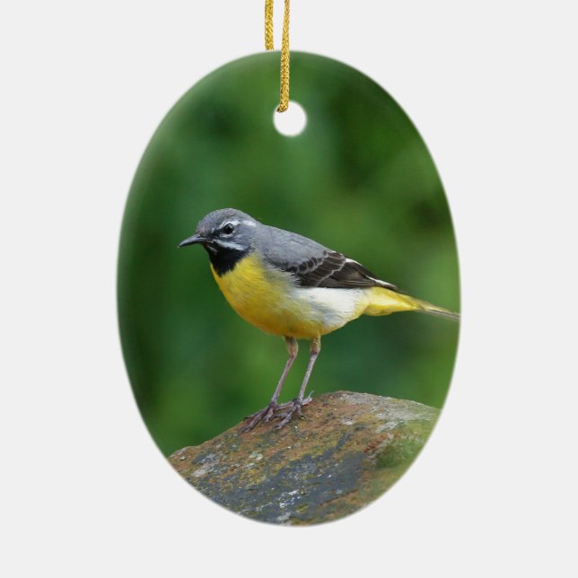 Grey Wagtail - bird Ceramic Tree Decoration (Back)