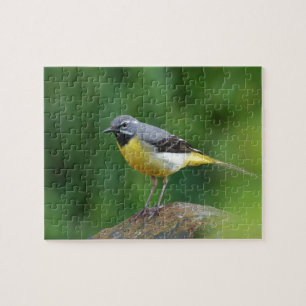 Grey Wagtail - bird Jigsaw Puzzle