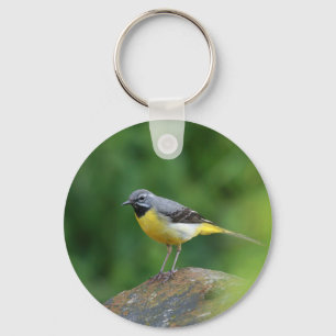 Grey Wagtail - bird Key Ring