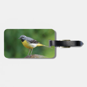 Grey Wagtail - bird Luggage Tag