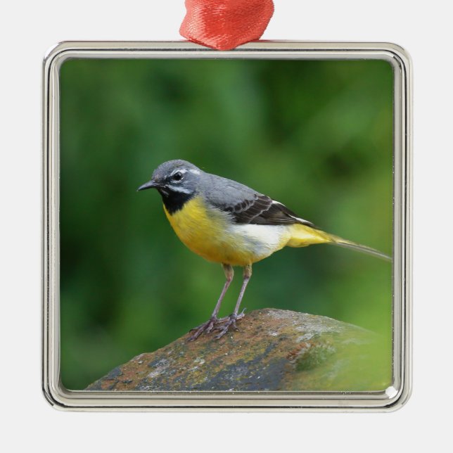 Grey Wagtail - bird Metal Tree Decoration (Front)