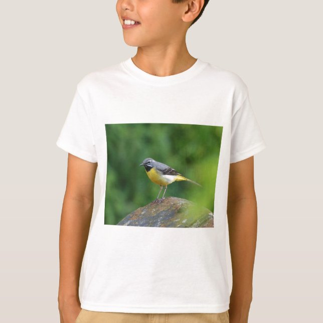 Grey Wagtail - bird T-Shirt (Front)